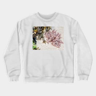 Seaweed Studies Crewneck Sweatshirt